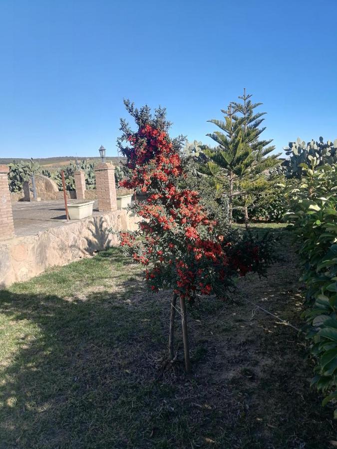 Villetta Immersa Nel Verde Piazza Armerina Buitenkant foto